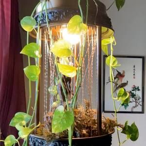 Meet your Posher, Ocie